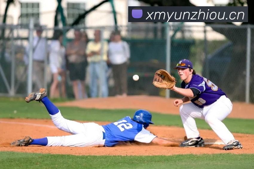 必一运动官网登录平台生态图